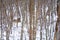 Impressionistic Style Artwork of a Snow Covered Shelter Deep in the Winter Forest