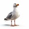 Impressive 3d Animated Seagull Illustration On White Background