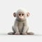 Impressive 3d Rendered Monkey On White Background