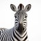 Impressive 3d Rendered Zebra On White Background - Pixar Style