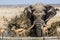 Impressive Bull elephant splashing at the waterhole