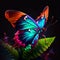 Impressive coloful butterfly