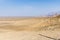 Impressive emptiness of the desert landscape with scattered Acacia trees