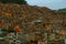 Impressive Evening View of Light-up Hillside Dwelling of La Paz, Bolivia