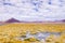 Impressive Laguna colorada - Red lake reflection, Andean Flamingos birds and Idyllic Altiplano Atacama Desert