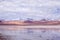 Impressive Laguna colorada - Red lake reflection, Andean Flamingos birds and Idyllic Altiplano Atacama Desert