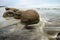 Impressive Moeraki boulders in the blurred Pacific Ocean waves