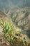 Impressive mountain landscape, cultivation of lotus on the bottom of the canyon. Coculi Santo Antao Island, Cape Verde