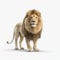 Impressive Photorealistic Rendering Of A Lion On White Background