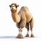 Impressive Pixar-style Animated Camel On White Background