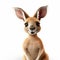 Impressive Pixar-style Kangaroo Art On White Background