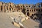 The impressive Roman amphitheater of El Jem