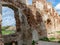 Impressive ruins, from the castle built in 1266, red brick walls, trees on the walls, Castle Brandenburg