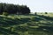 Impressive scene of green hills and pine forest with long shadows in summer morning