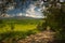 Impressive spring landscape,view with cypresses and vineyards ,Tuscany,Italy