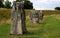 Impressive standing stones from the historic circle in Avebury Wiltshire. Sheep can be seen grazing amongst the massive rocks