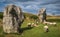 Impressive standing stones from the historic circle in Avebury Wiltshire. Sheep can be seen grazing amongst the massive rocks