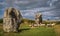 Impressive standing stones from the historic circle in Avebury Wiltshire. Sheep can be seen grazing amongst the massive rocks