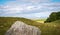 Impressive standing stones from the historic circle in Avebury Wiltshire. Sheep can be seen grazing amongst the massive rocks