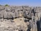 Impressive view of karst limestone formations in Tsingy de Bemaraha National Park, Madagascar