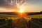 impressive view of vineyard at sunset, with the sun setting behind the rows of grapevines