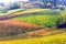Impressive vineyards in autumn colors in Tuscany - famous vine r