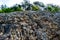 Impressive wall of rocks under a forest