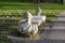 An impressive white stone bench stands in the park