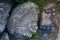 Imprint of ammonite in stone archeology and paleontology background