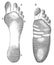 An imprint of a healthy foot (left) and a foot with flat feet (right).