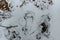 Imprint of the shoe in snow copy space. Lone footprint in garden. Winter Weather Abstract background.Foot mark on the trail.Traces