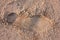 Imprint of shoes on sand. Lonely human footprint on a sandy surface