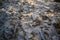 Imprints of people`s shoes on a dune trail with spilled snow above them