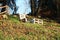 Impromptu chair. lying down in wood. Spartan craft creation made with plywood and advanced wood pieces in a downward clearing