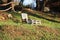 Impromptu chair. lying down in wood. Spartan craft creation made with plywood and advanced wood pieces in a downward clearing