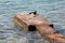 Improvised old small rocky concrete pier surrounded with clear calm sea with diving half mask and snorkel