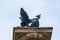 An impudent city pigeon or dove sits on a monument to pigeons. Background with copy space
