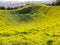 Inactive volcano crater, Mount Eden, Auckland, New Zealand