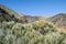 Inactive Volcano (Tenerife, Canaries, Spain)