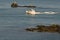 Inbound Lobster boat navigates among rocks