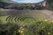 Inca Agricultural research station, Moray, Peru