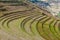 Inca agricultural terraces