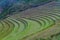 Inca agricultural terraces