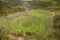 Inca agriculture field