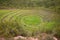 Inca agriculture field