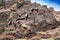 Inca ancient fortress in mountains