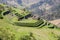 Inca ruin at Cojitambo