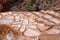 Inca salt farm