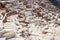 Inca Salt pans at Maras, Peru