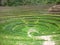 The Inca site of Moray, near Cuzco, Peru.